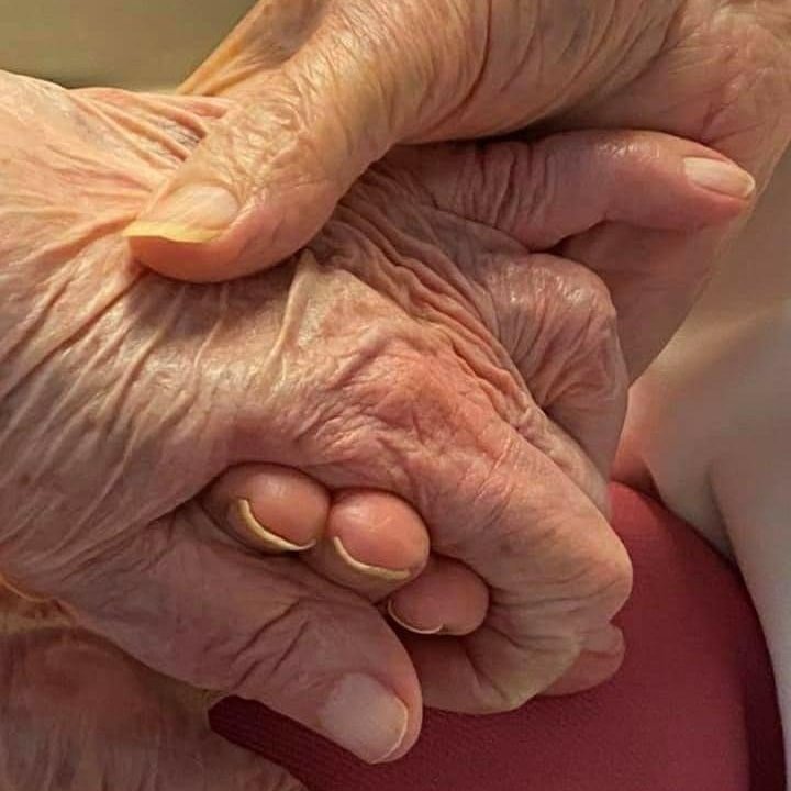 MyTHHS's tweet photo. #Toronto #homehealthcare #homecare #PalliativeCare https://t.co/ndNvAXcFsU