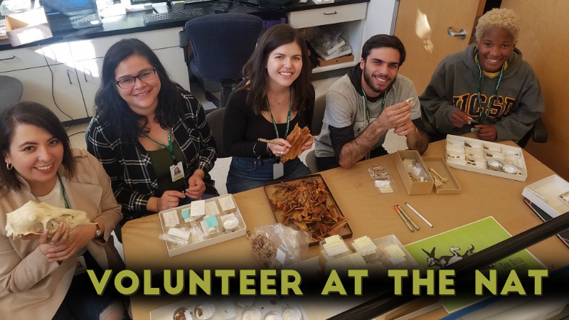 gomuseums's tweet photo. #Volunteer at the Nat @SDNHM. They are currently accepting applications for volunteers that engage the public as Canyoneers, Docents, Whalers, and NATuralists The deadline for submitting an application is August 15. Find out more at https://t.co/JYKm6yOY0H #SDFUN https://t.co/TlqSEmwVsU