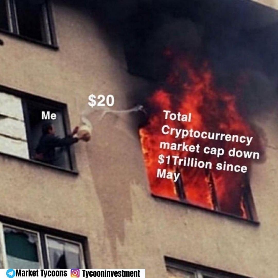 stockgazerrr's tweet photo. @crypto_bitlord7 #Bitcoin #memes #traders #cryptocurrencies #newtraders #Bitcoinpage #tradingpsychology #tradingmotivation #crypto
π€ π π
Doing my partπ€π https://t.co/gBgA9Yu9gk