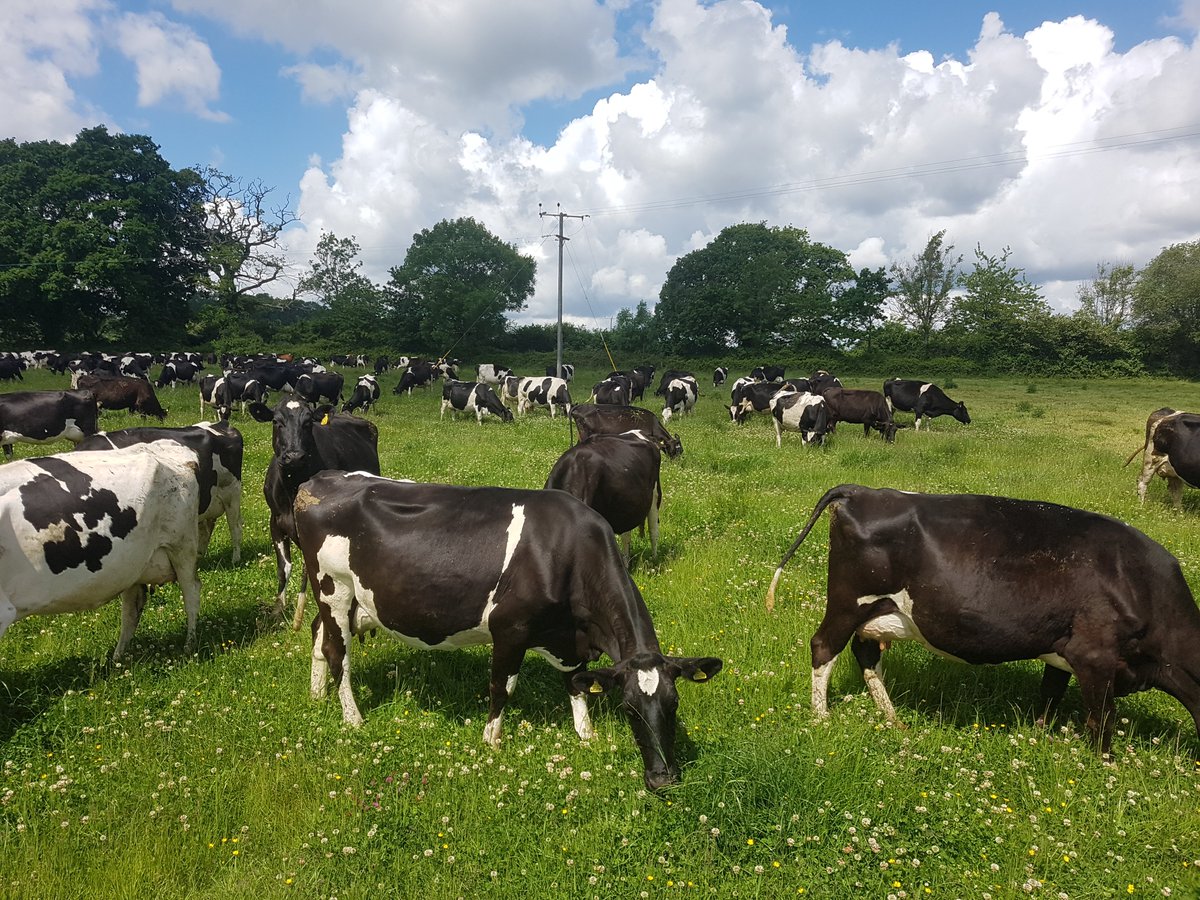 Fancy a career change? 

We're Recruiting...

Please feel free to share far and wide

#agriculture #dairyfarming #farming
