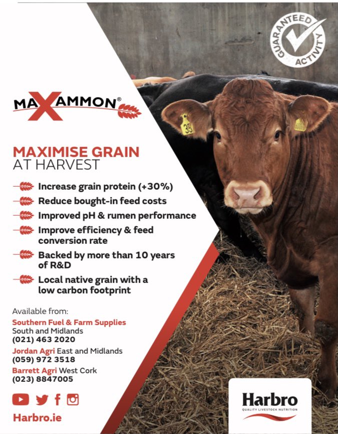 🌾 Ma❌ammon Home Saved Feed 🌾

As #harvest2021 if about to kick off...... its time to think about Ma❌ammon Home Saved Feed.
 @HarbroLtd 
#southernfuels #maxammon #HomeSavedFeed #harvest2021