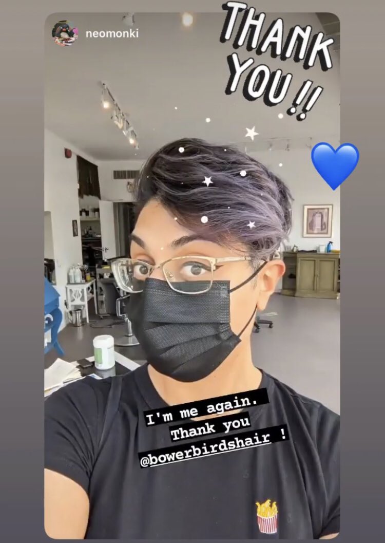BowerBirdsHair tweet media