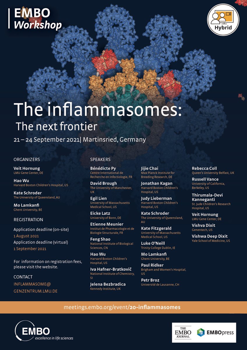 Alert! EMBO conference on inflammasomes during Oktoberfest in Munich! It is a hybrid if you cannot make the trip. Register and beer up! <a href="/v_hornung/">Veit Hornung</a> <a href="/inflammasomelab/">Inflammasome Lab</a> <a href="/dixitvishva/">Vishva Dixit</a> @russellevance <a href="/jkagan1/">Jonathan Kagan</a> <a href="/FitzgeraldKate/">Kate Fitzgerald</a> <a href="/laoneill111/">Luke O'Neill</a> <a href="/broz_lab/">Broz Lab</a> <a href="/Rebecca_Coll/">Dr Rebecca Coll</a>
meetings.embo.org/event/20-Infla…