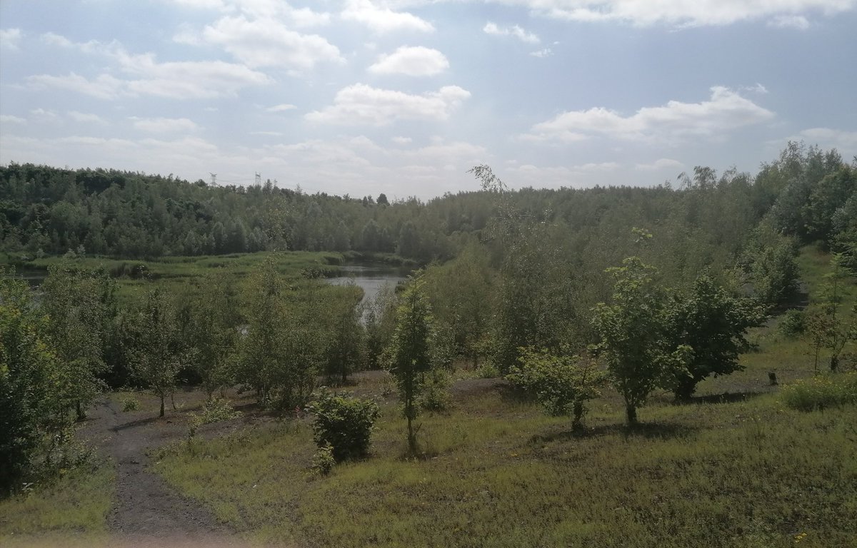 AnghellOFF's tweet image. Grande balade avec ce beau temps pour admirer ce magnifique paysage 🥰😇 simple mais j adore. 
#nature #paysage