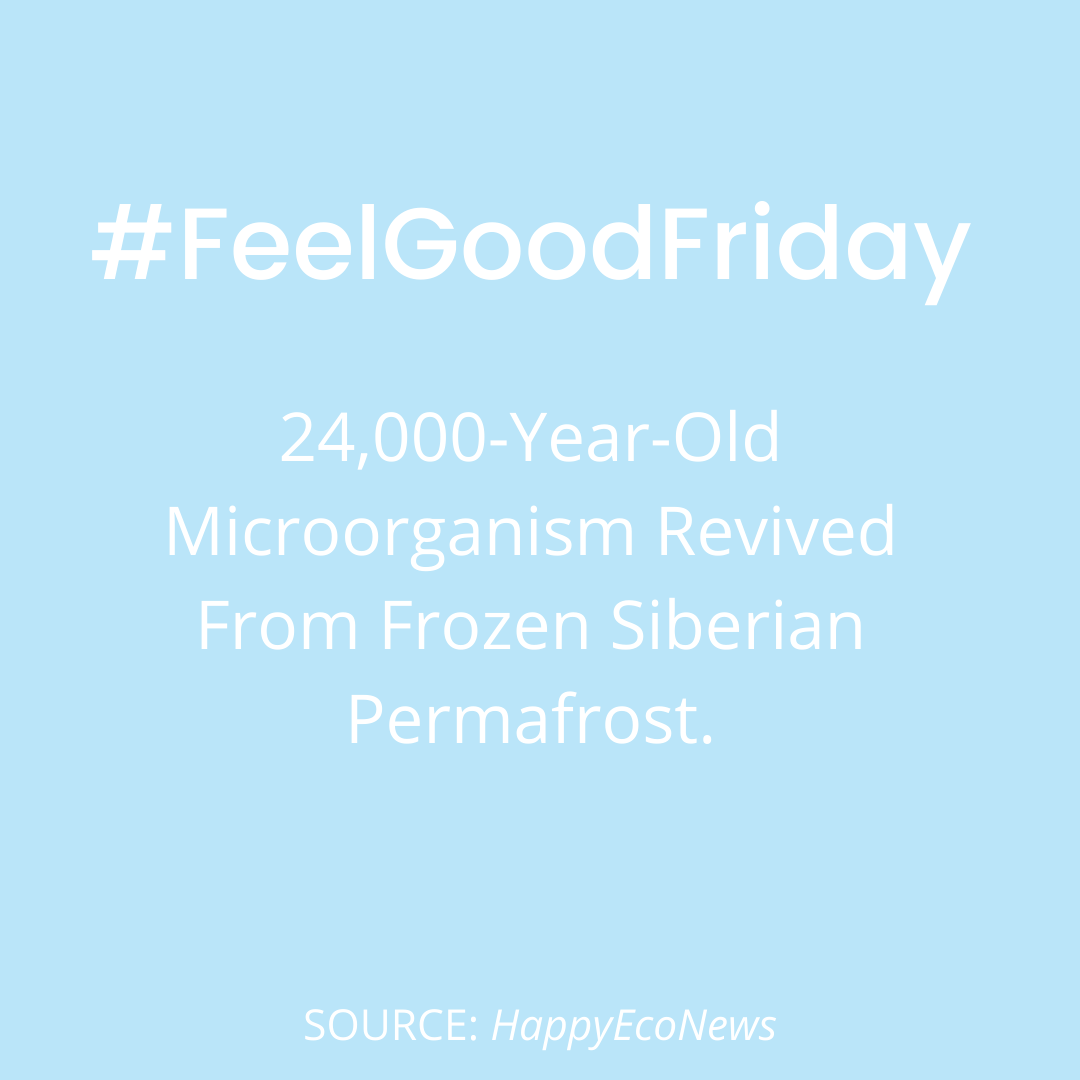 It’s always important to celebrate the small successes in life — so here’s some fantastic news to hopefully start your weekend ❤️

What’s your favourite part about your favourite animal? 🐶