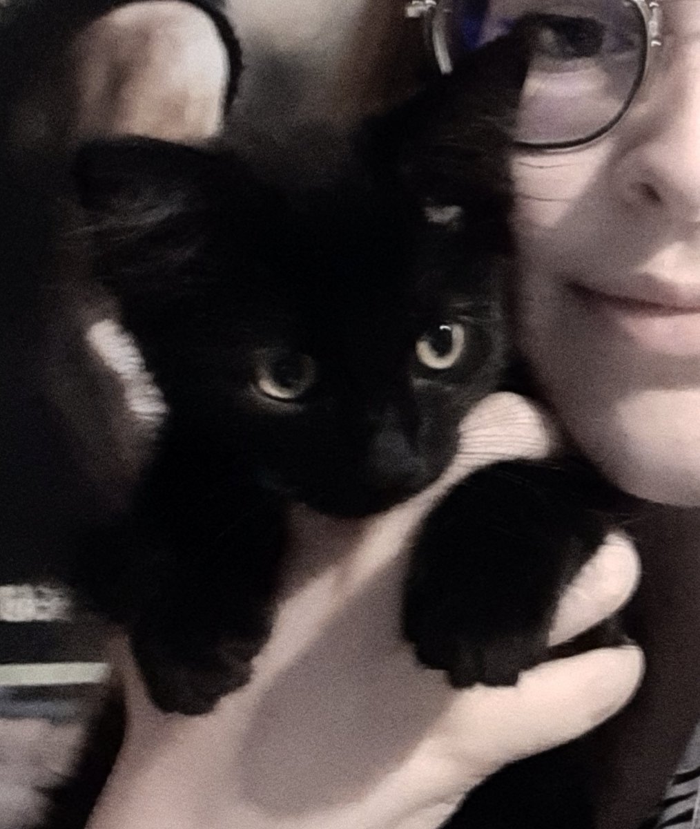 moonlightadele's tweet image. Hi Norman Reedus, i just want to tell you i called my baby cat Daryl🥺
@wwwbigbaldhead