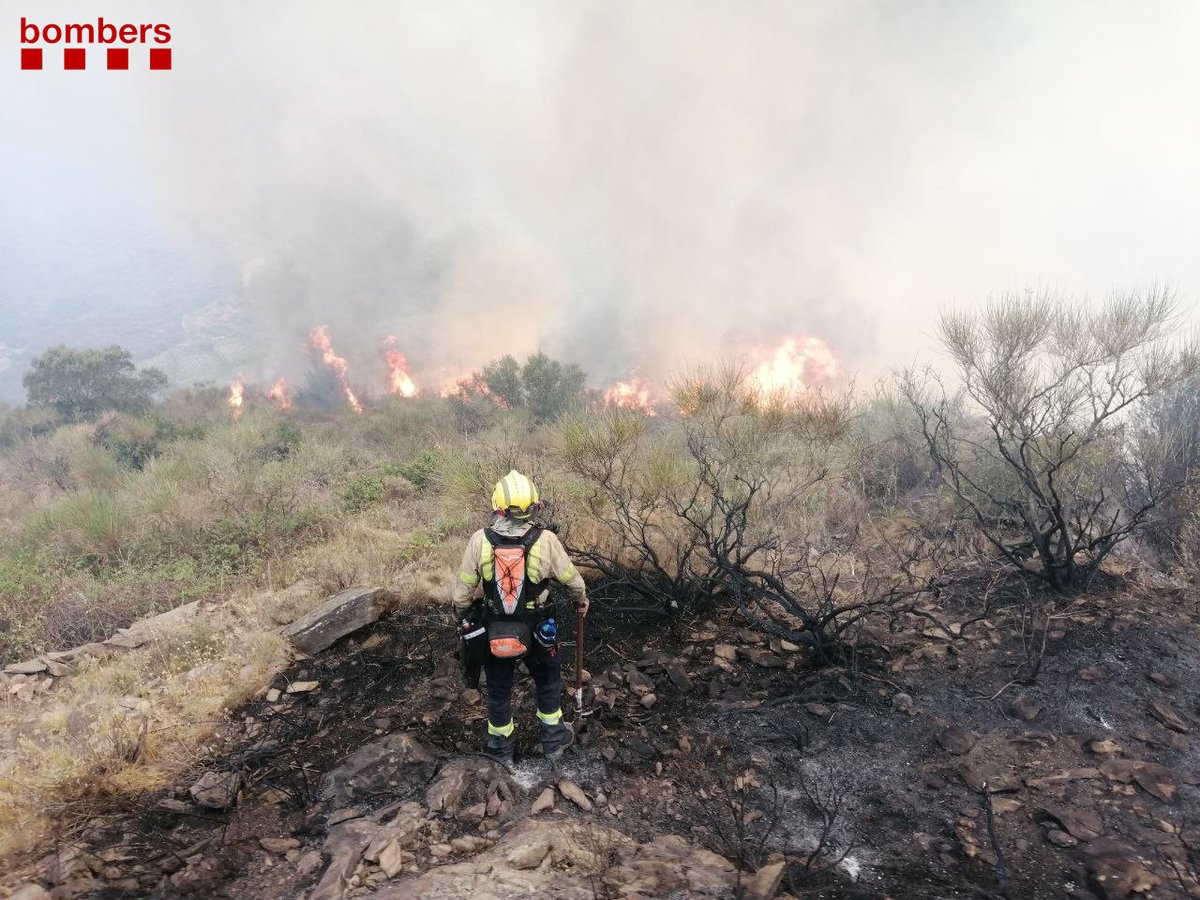 bomberscat's tweet image. (Nota de premsa) Ampliació informació #IFLlançà
#bomberscat treballem per evitar que el foc sobrepassi un dels punts crítics: el coll del Perer per on pot propagar cap a la serra
📎 bit.ly/3z9gsmn