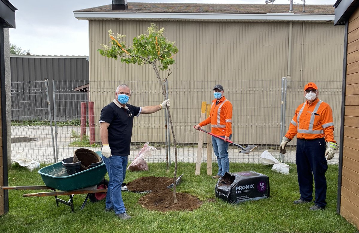 NFPower's tweet photo. Community members from Stephenville joined our employees on this sunny Friday afternoon to plant trees and shrubs in their Town Square. Many thanks to all of those involved in our second EnviroFest 2021 beautification project! #EnviroFest https://t.co/h5NlbtjYuQ