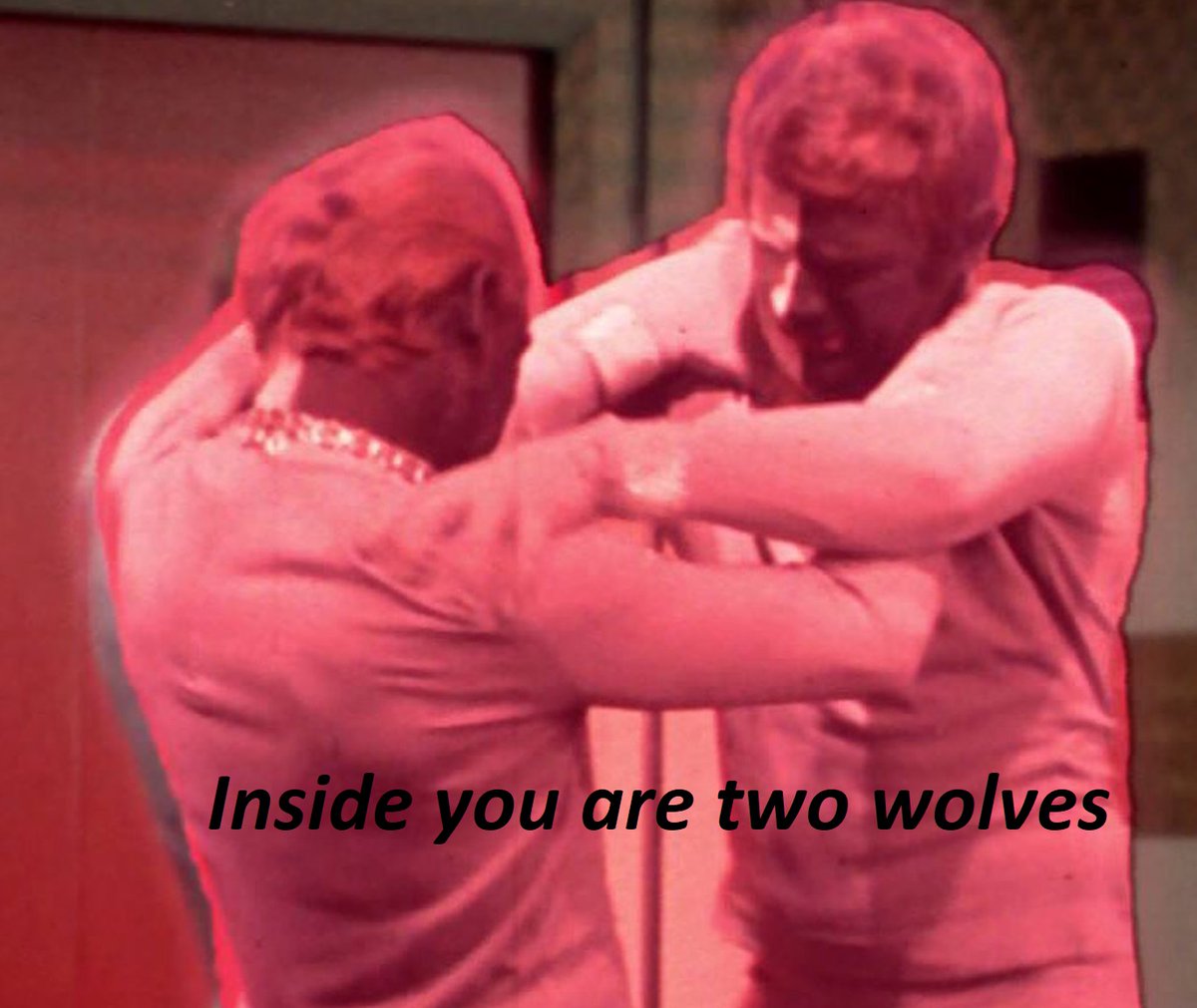 UncannyTreks's tweet image. #StarTrek 
#twowolves