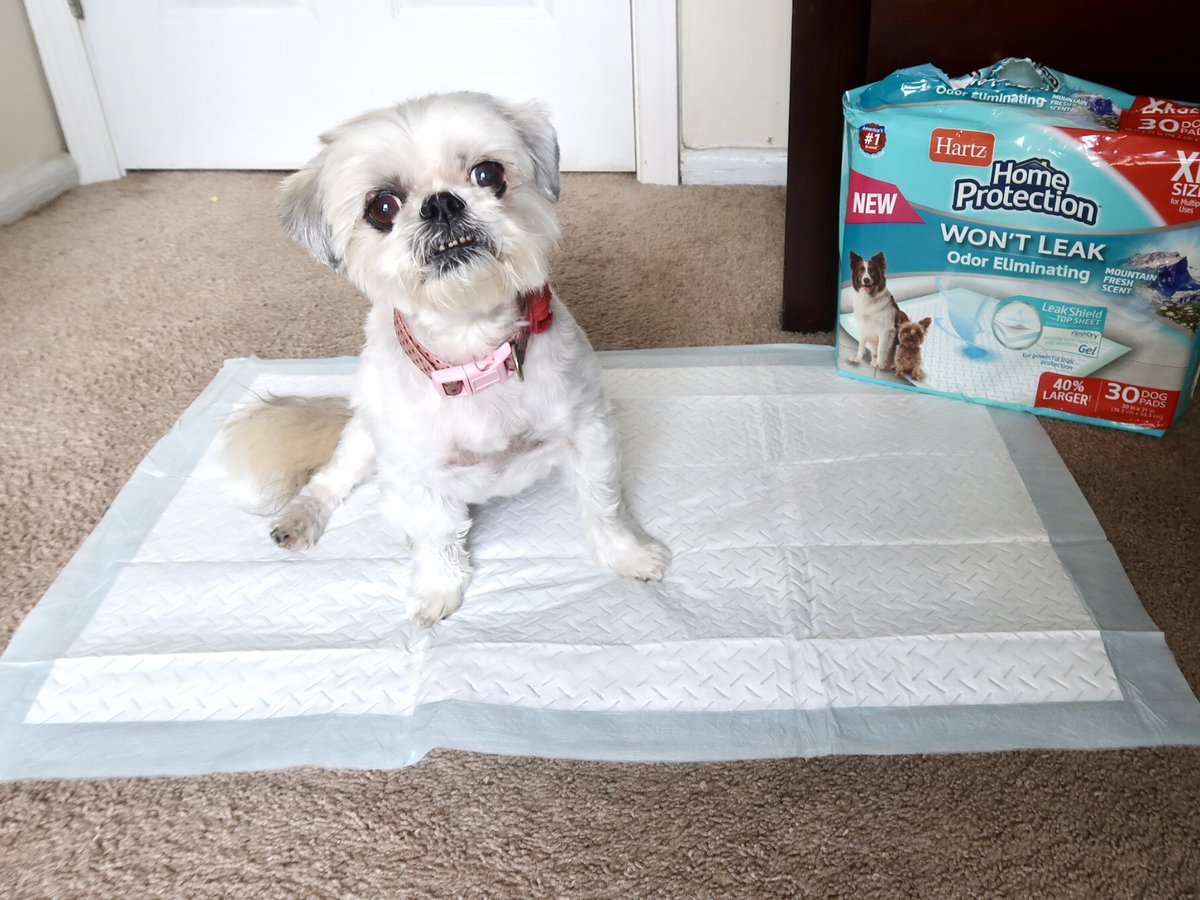 Jonna🌹Healthy Lifestyle & More tweet media