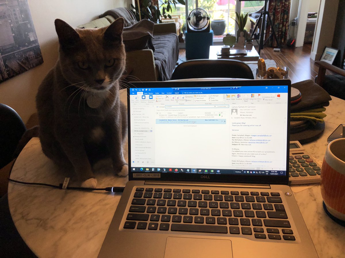 Today’s happiness was my workmates’s good energy. #catsitting