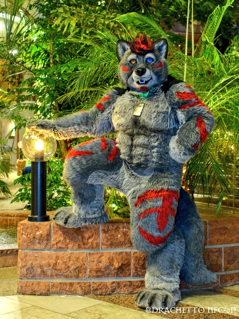 Flex_Fur's tweet photo. Still overwhelmed by all the birthday wishes. I tried to reply as many as possible. Sorry i couldn't to all. But i appreciate every single one! Also, i've hit 1500 followers! Thank you all so much!
Also, sharing an all-time favorite from #NFC2018 by @DraggyInstants
#FursuitFriday https://t.co/dtGWU75rGR