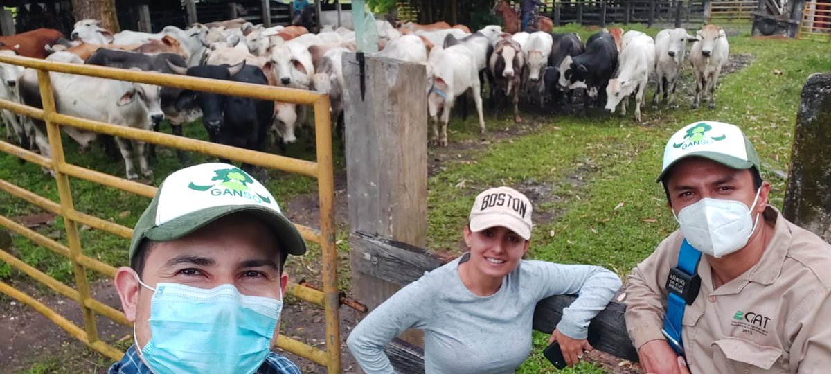MAOZOTELO's tweet photo. Although the work is not easy.  Thanks, @AlejandroRuden, @SaraValencia, @GansoColombia https://t.co/fwHRc5LrKi