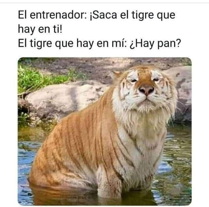 listoretrasado's tweet photo. Mi madre me manda estos memes https://t.co/9PSMgW73Yj