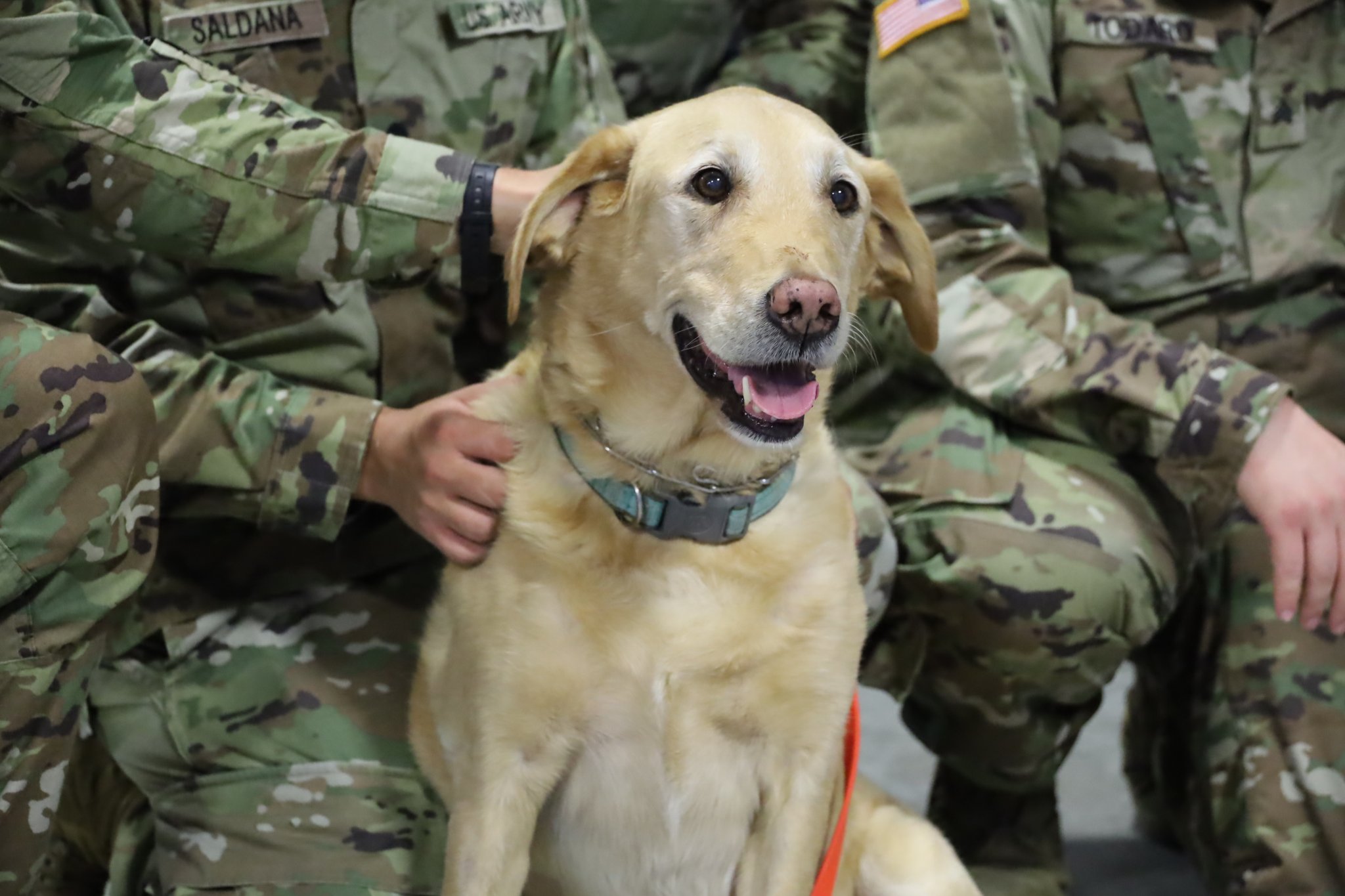 Indiana Task Force 1 on Twitter: