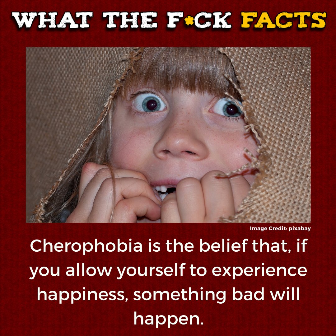 WhatTheFFacts's tweet photo. https://t.co/TJYxqnozze