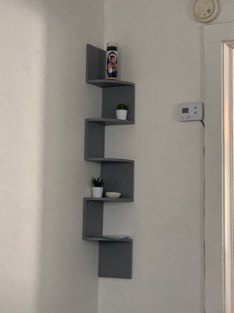becomingbritt59's tweet photo. When #DavidRose is actual life- he goes on the top shelf! @danjlevy https://t.co/1ZRJCdo8sM