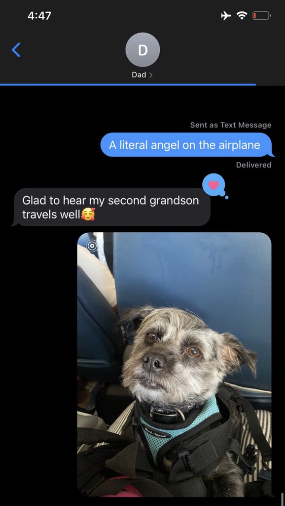 Jenn Schaal tweet media