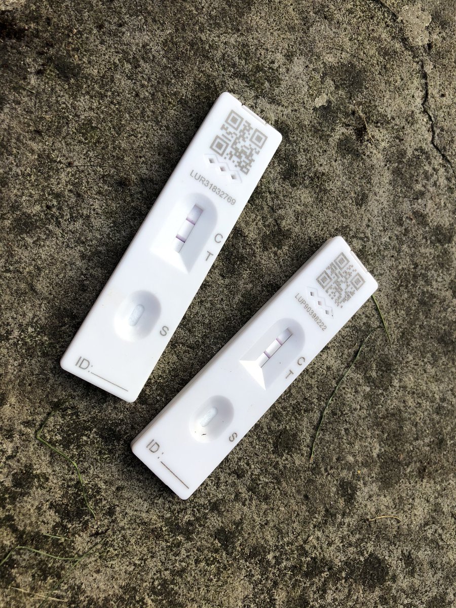 Tōm Langdōn ™️ tweet media