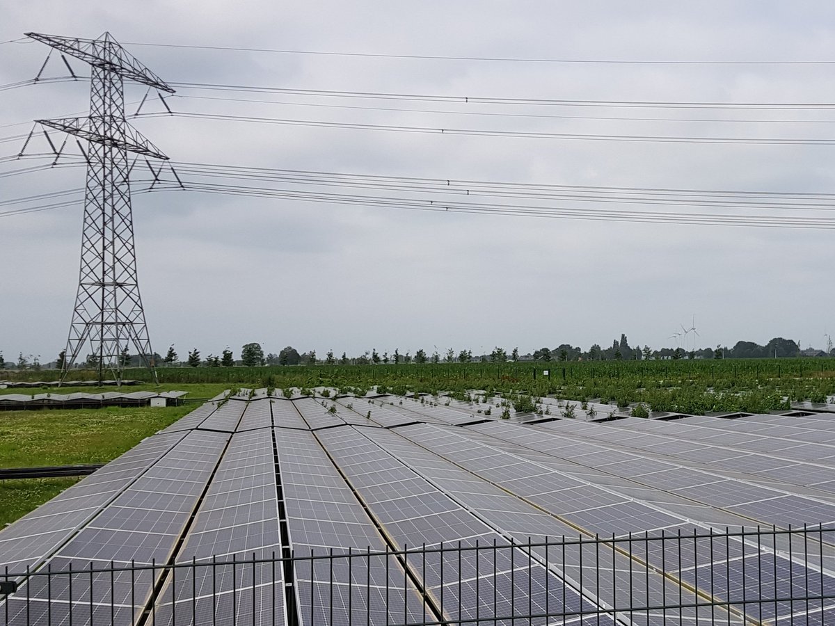 Concurrentie tussen fotosynthese en fotovoltaïsche omzetting.