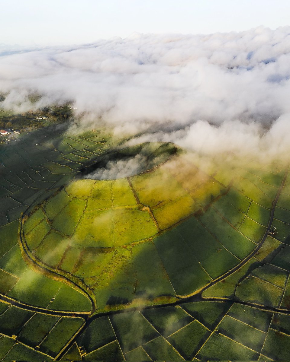 Jonny Rogers tweet media