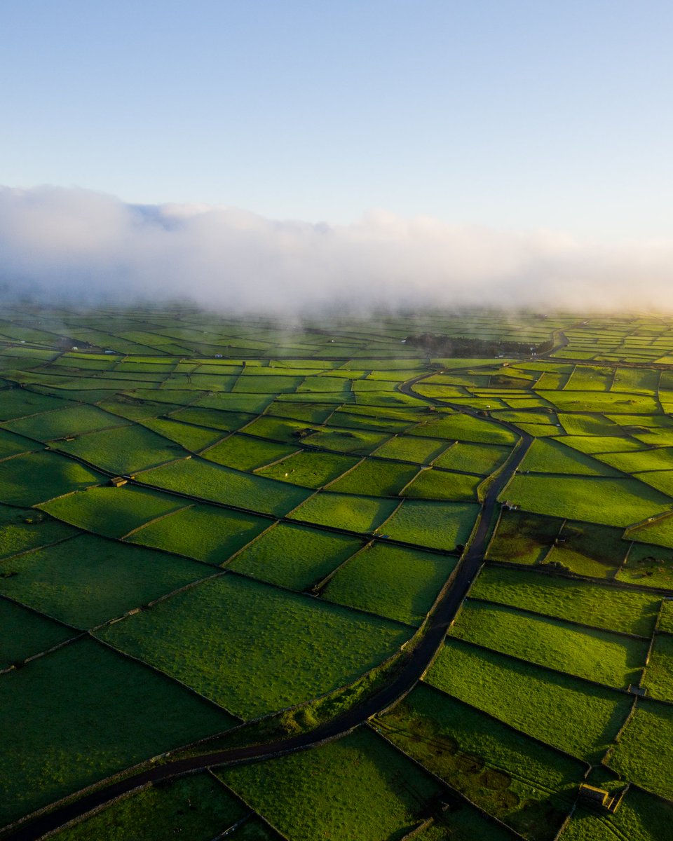 Jonny Rogers tweet media