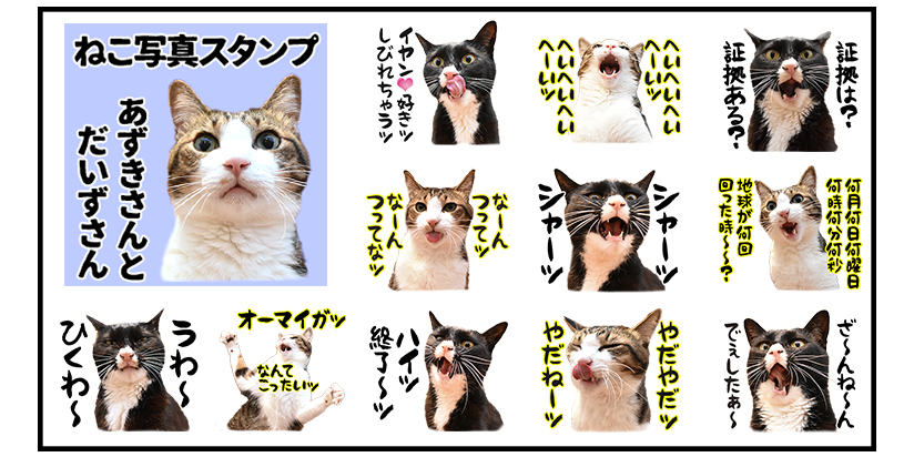 だいずとあずきページ あずきさんとだいずさん ねこ写真4コマ (@daizupapan) / Posts / X