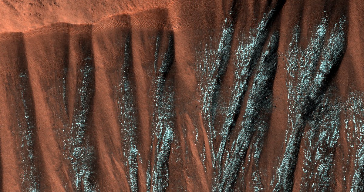 NASAMars's tweet photo. This view from our Mars Reconnaissance Orbiter shows frost hidden in the shadows of gullies on a crater wall in the north polar region. The area shown is a little less than a mile across. Details: https://t.co/TWryqVNXLd https://t.co/Th5TNBwyvL