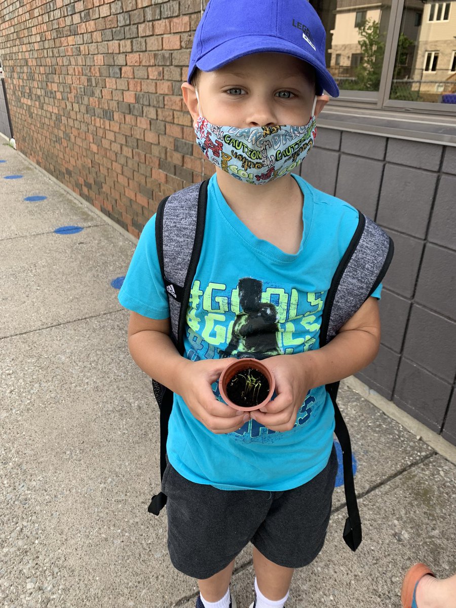 CinoMiss's tweet photo. Checked in on our plants today! The Pixel-Wings were so excited to see how big our plants have grown. Beans are growing VERY fast and carrots are getting there. We are so excited to take our plants home next week! 🌱☀️ @summerheateim https://t.co/7qkZrVEDDt