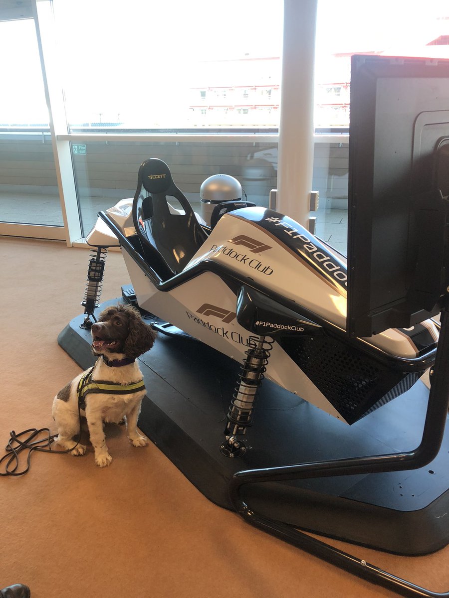 It was a hot one today for the dogs for day 2 of the search Op at <a href="/SilverstoneUK/">Silverstone</a> for #BritishGP but they did a great job again and thanks to the <a href="/Pirelli/">Pirelli</a> for the water bowl!