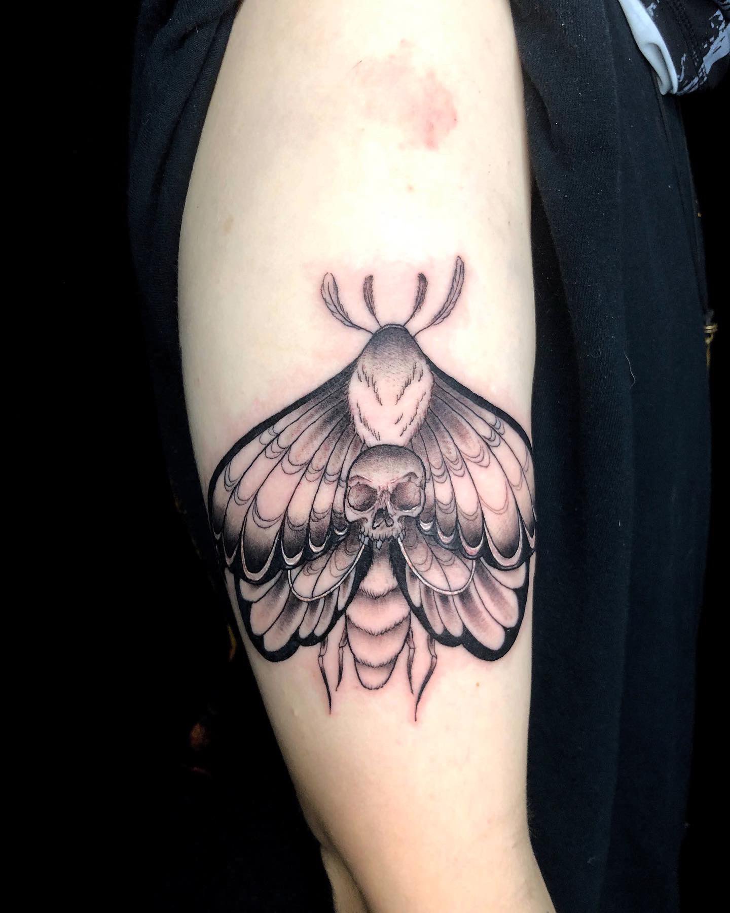Top 157+ Gypsy moth tattoo meaning