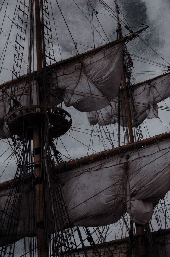 graybeech_'s tweet photo. me encontre na terra do nunca!🖤🏴‍☠️ https://t.co/riqrARJvqS
