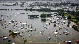 Marjon Kaper tweet media