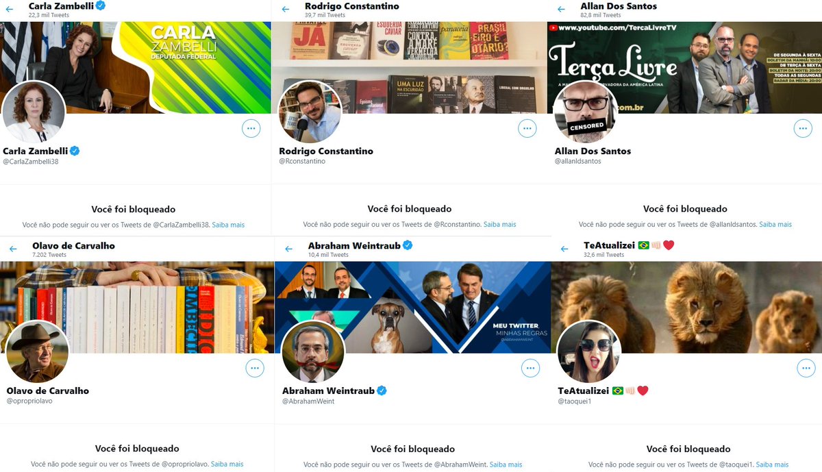 Sapulha - tweet media
