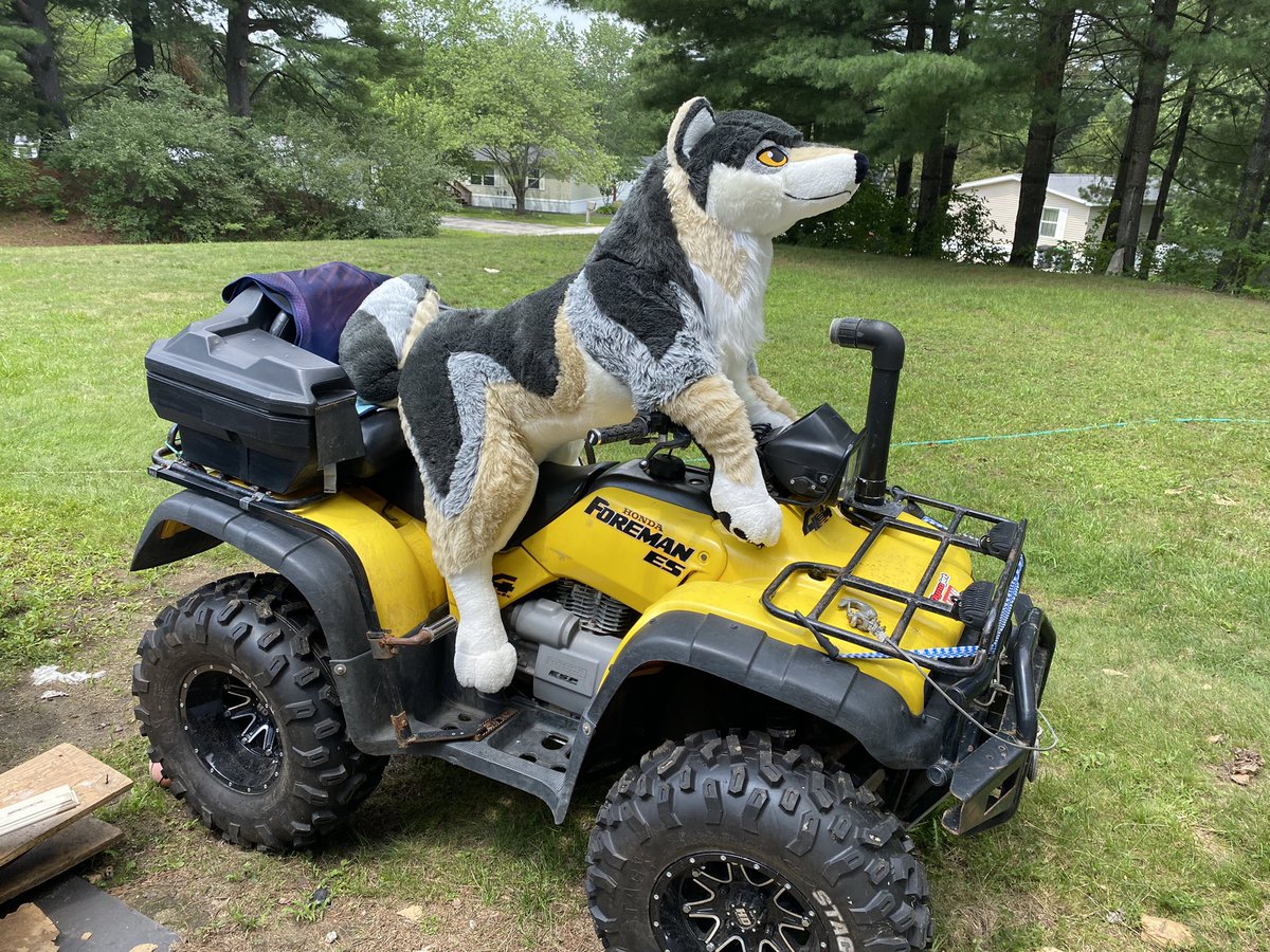 My <a href="/PlushLife_eu/">PlushLife</a> wolf Ghost wanted to ride my ATV, looks like he’s ready for an adventure!