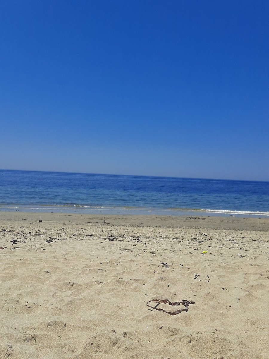 mocalila's tweet photo. Day off... 
#dayoff #beach #praia #relax #CarpeDiem #seizetheday https://t.co/0djjJSYoL0