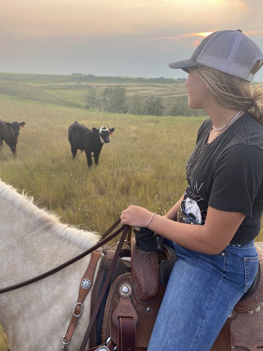 DWarren21's tweet photo. Had a Daughter and Dad night last night,  was a beauty of a night.  Took my mind off this F’N drought if only for awhile … “if horses ears aren’t in the picture it doesn’t count” Dale Brisby. #superpunchers #saskbeef #qualitytime #nextyearcountry https://t.co/RBSXBL3LMK