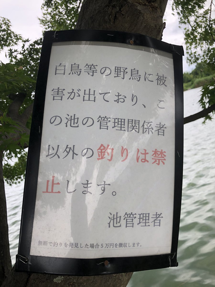 Kars Hqywzbhq7o1zf1g Twitter