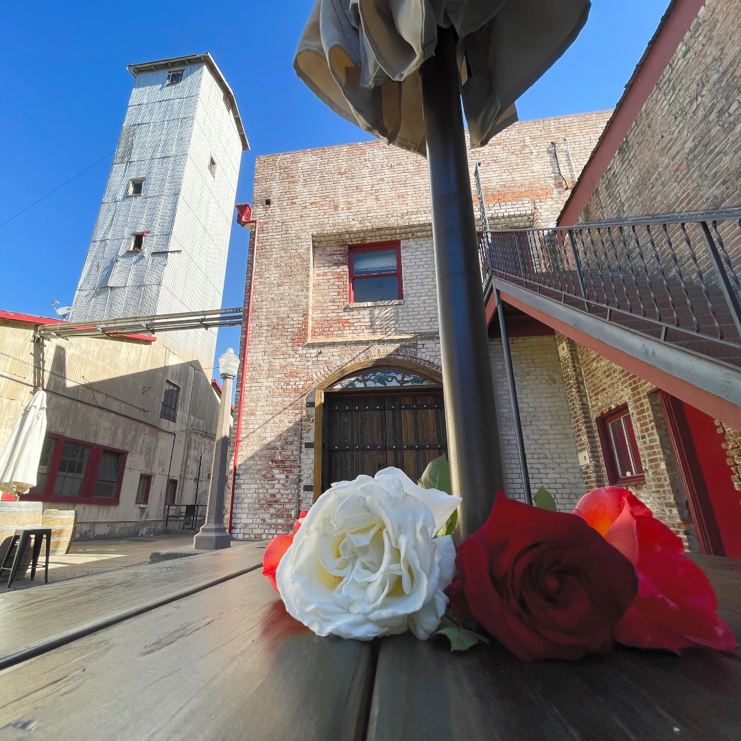 Dancing Coyote Wines tweet media