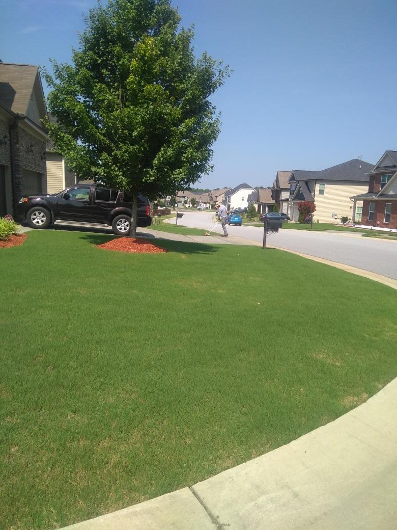 Holly Springs Lawn Care (lawncarepro10) Twitter