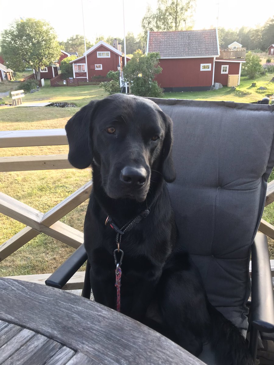 cyklamagic's tweet photo. När blir det middag?
Undrar Sixten! https://t.co/Jw5YltVZh8