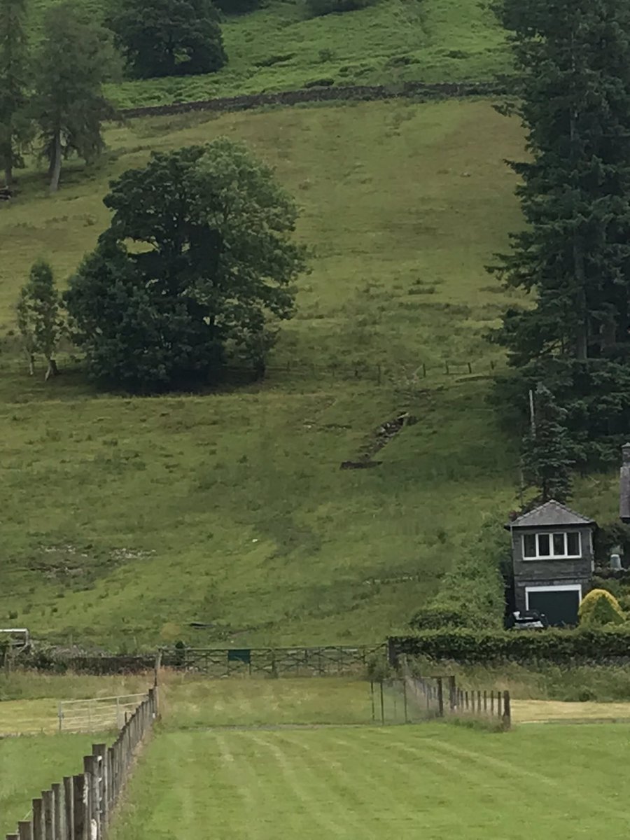 Billy Menzies tweet media