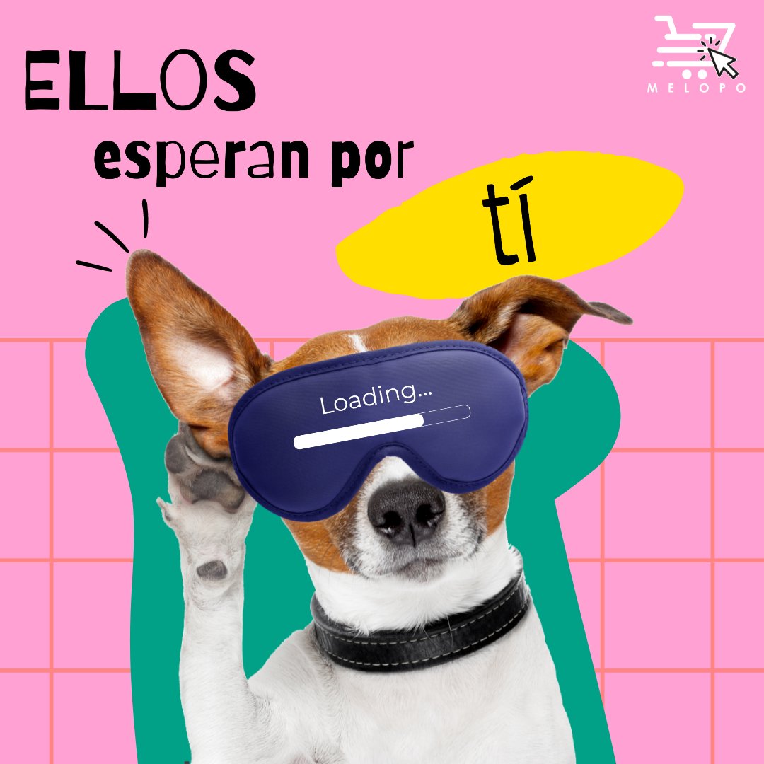 melopo's tweet photo. ¡También queremos lo mejor para los consentidos de la familia!
Publica en Venta en https://t.co/DN66qOWum2 "Medicinas, Alimentos y Accesorios" en nuestra categoría de Animales y Mascotas😻 
#melopo #marketplace #animales #mascotas #medicinas #alimentoparamascotas #gatos #perros https://t.co/lnueTEGQdr