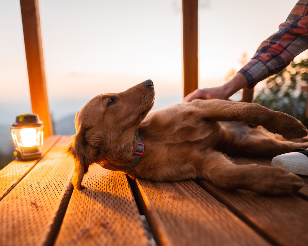 Nothing better than evenings with your best bud