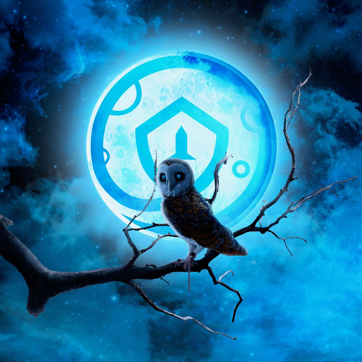 Willy Suarez Maceo 🇨🇺 (@willysuarezceo) / Posts / X