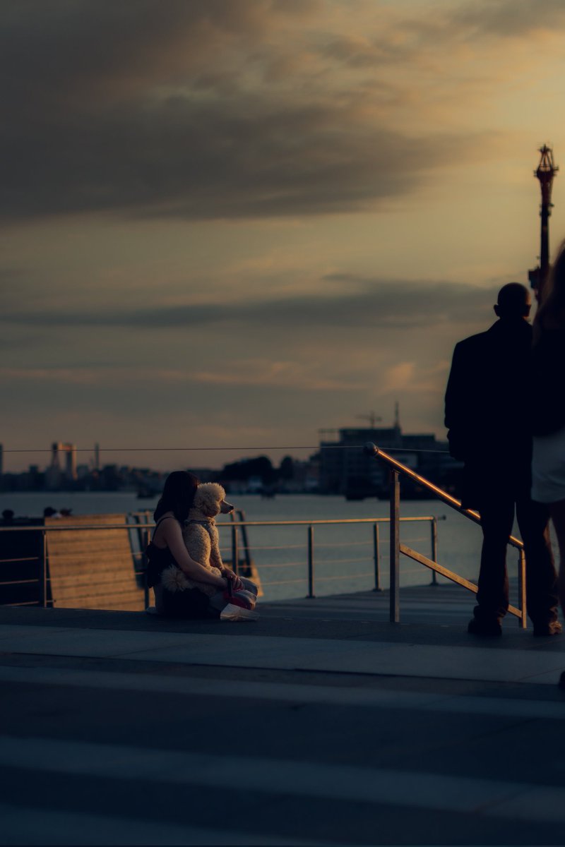 We remeber moments #dogs #photographer #sunset