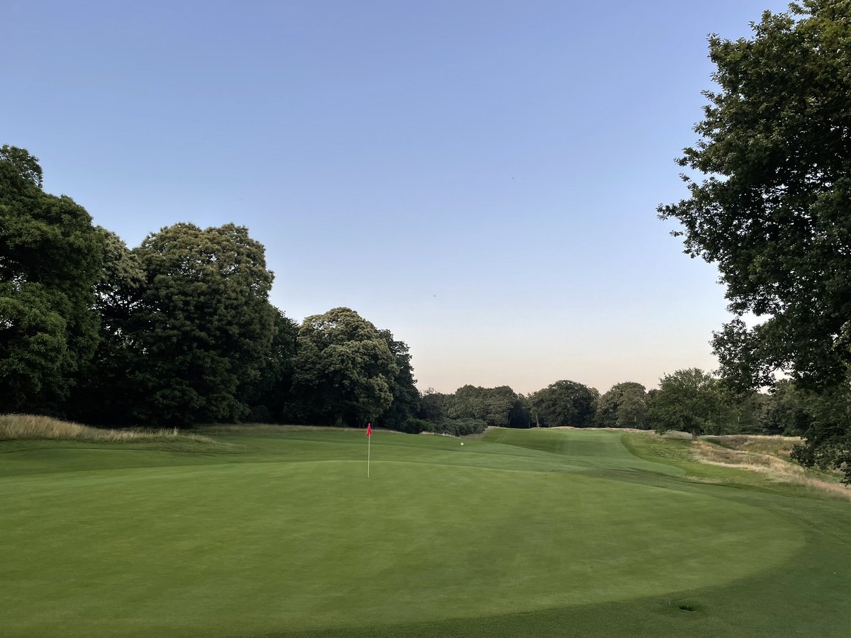 Nick Paris tweet media