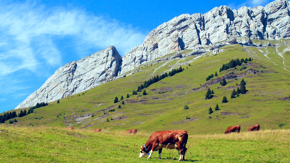 Travelsandphoto's tweet photo. Au col des Aravis...Bonne soirée #savoiehautesavoie_resort #savoiemontblanctourisme #savoie #savoiemontblanc #hautesavoie #montagne #francemontagne #roadtrip #frenchalps #nature #naturelovers #coldesaravis #mountainscape #mountainslovers #mountainsview #aravismountains https://t.co/9eF8Rdmr0Y