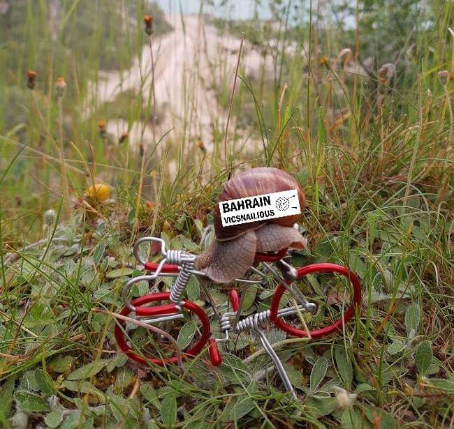 td_faxe's tweet photo. TdF - Tour de Faxe
Now with pic ๐
Stage 19 was 207 m, leading the shelloton from Snailrenx to Shellbourne. With 26 m to go Matej Moshellric from Team Vicsnailious extended his feelers, and took his second stage win in this Tour, sliming solo across that finishline ๐๐ฒ
#TdFaxe https://t.co/eIx0WzreGu