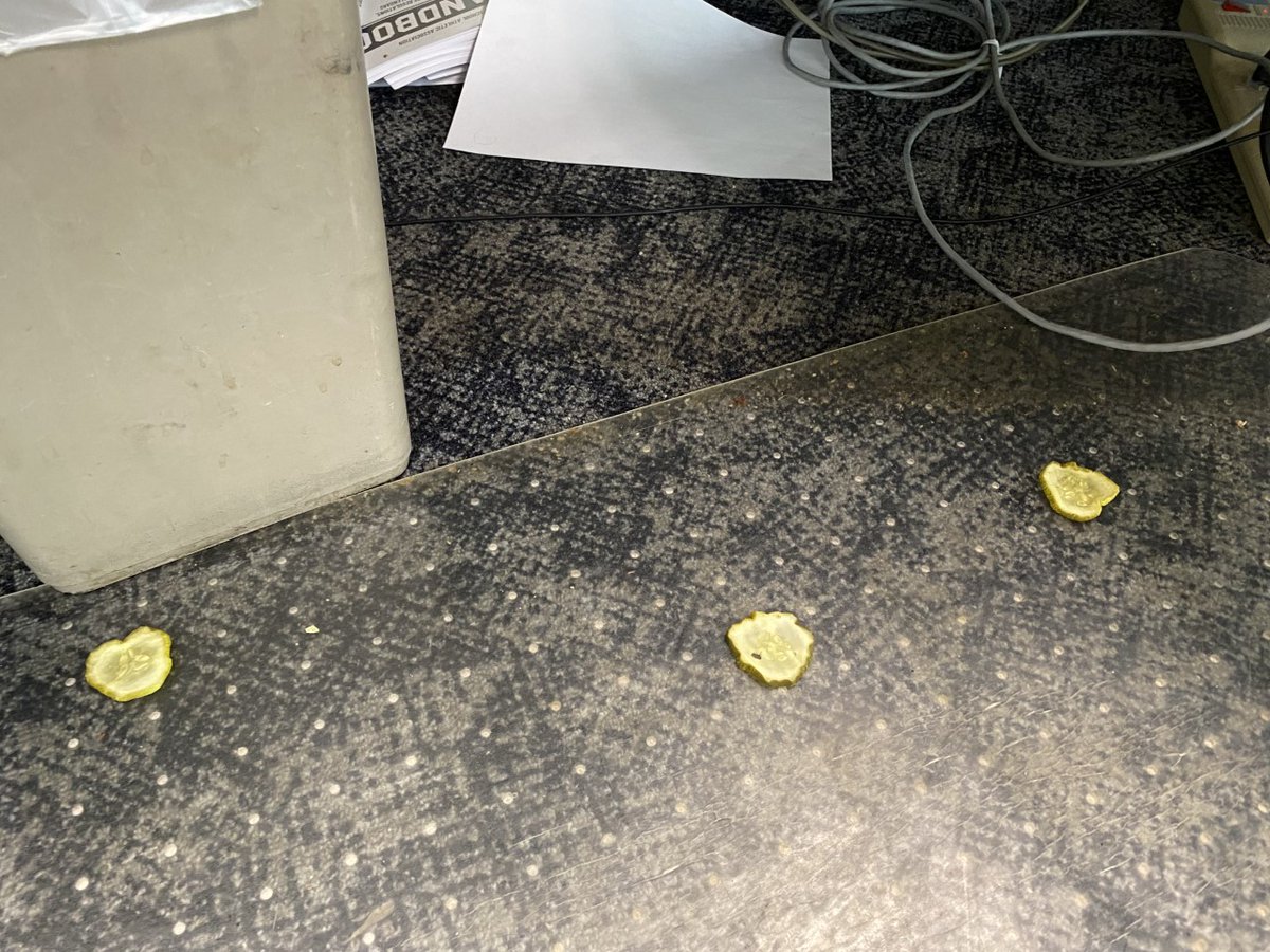 BrennaGriteman's tweet image. A newsroom is such a strange place #pickleproblems